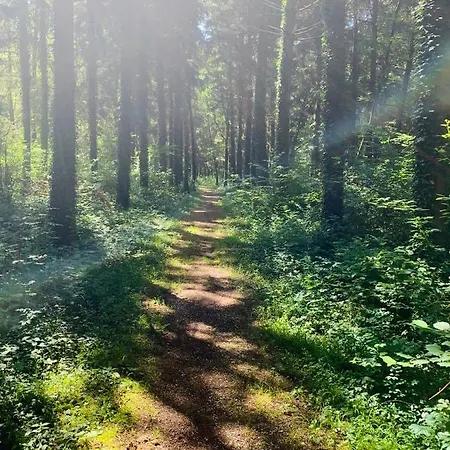 B&B Le Du Pichat Sainte-Helene-du-Lac