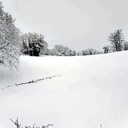 Le Du Pichat