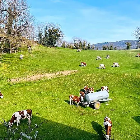 Le Du Pichat Panzió